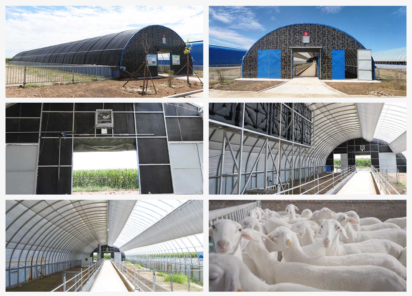 新型冬暖夏涼裝配式畜牧拱形棚舍_12.jpg 新型冬暖夏涼裝配式畜牧拱形棚舍_12.jpg