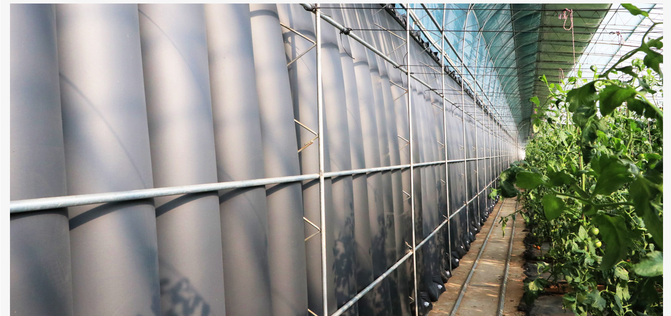 準(zhǔn)格爾旗現(xiàn)代智慧設(shè)施農(nóng)業(yè)產(chǎn)業(yè)園_13.jpg 準(zhǔn)格爾旗現(xiàn)代智慧設(shè)施農(nóng)業(yè)產(chǎn)業(yè)園_13.jpg