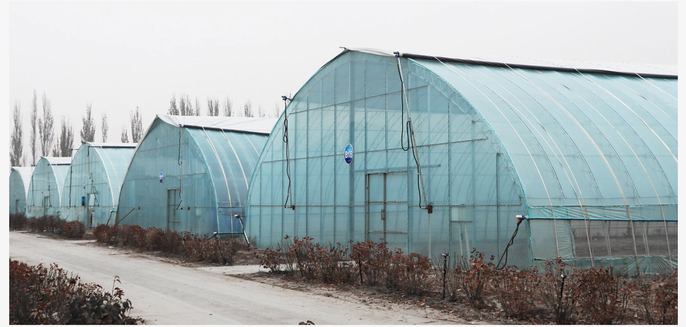 呼和浩特內(nèi)保溫日光溫室_17.jpg 準(zhǔn)格爾旗現(xiàn)代智慧設(shè)施農(nóng)業(yè)產(chǎn)業(yè)園_17.jpg