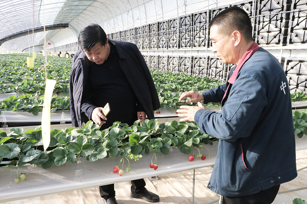 2024年會(huì)938圖日光溫室切2.jpg 2024年會(huì)938圖日光溫室切2.jpg