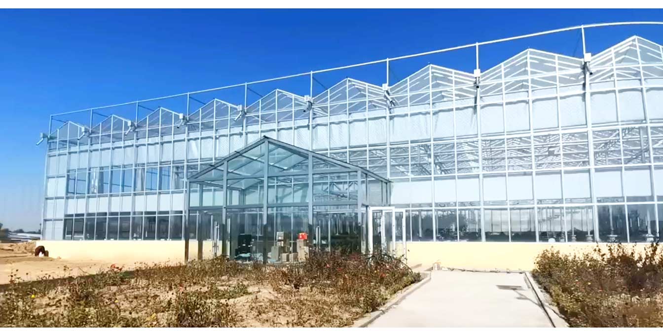 大路鎮苗家灘社區項目-智能溫室、日光溫室建設項目_13.jpg 大路鎮苗家灘社區項目-智能溫室、日光溫室建設項目_13.jpg